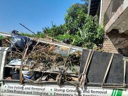 Best Carpet Removal and Disposal  in Wyldwood, TX
